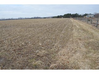 Property photo 43 - 173 +/- Acres Offered in 3 Tracts - Ohio Farmland